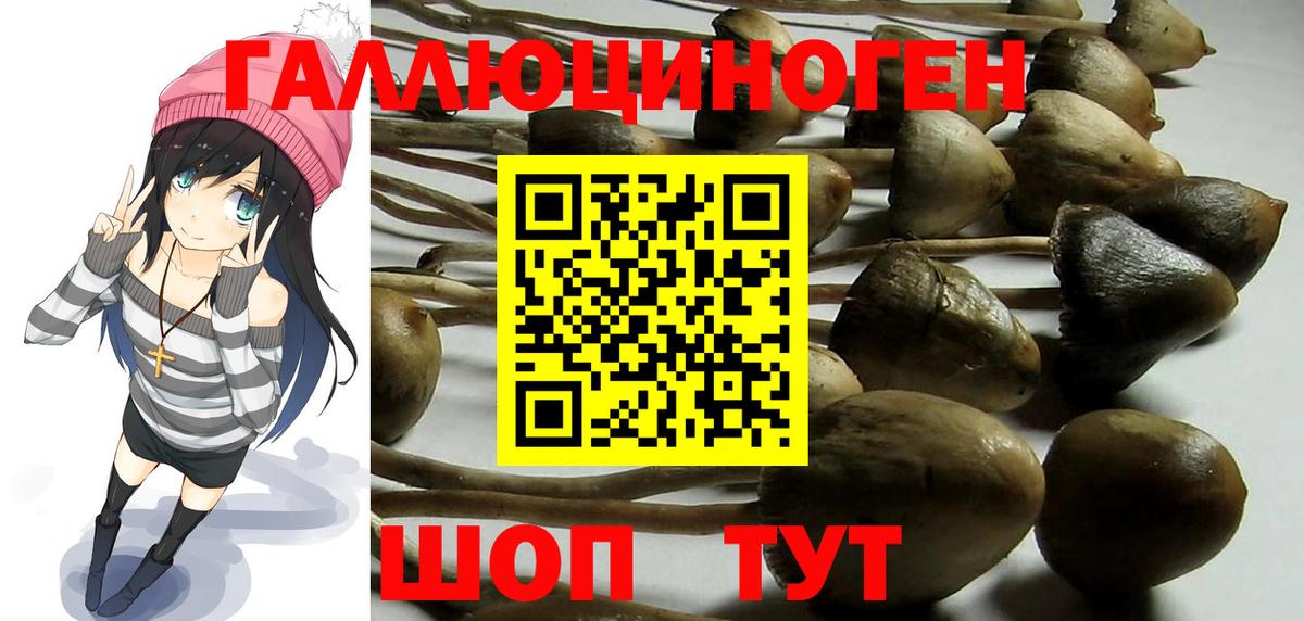 Псилоцибиновые грибы MAGIC MUSHROOMS  Вход с VPN  Псилоцибиновые грибы Magic Shrooms  Салават 