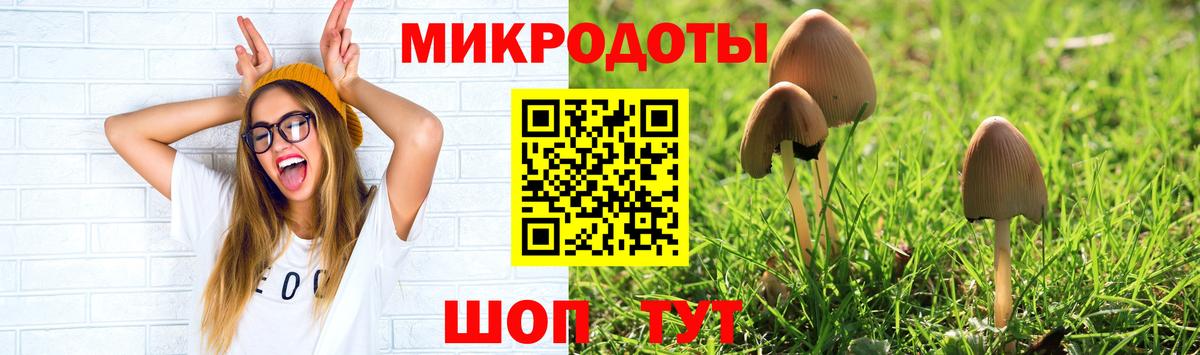 Псилоцибиновые грибы GOLDEN TEACHER Салават