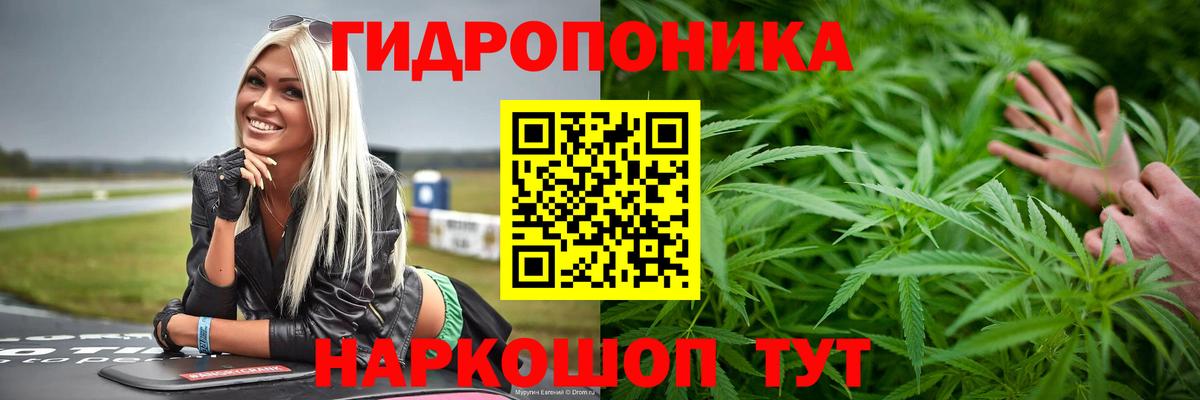 МАРИХУАНА сатива Салават
